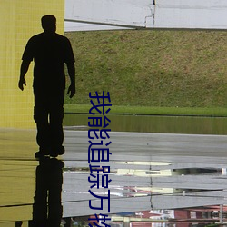 我能追踪万物