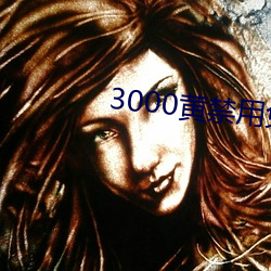 3000ƽ(min)С(xio)˵