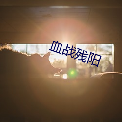 血战残阳 （内忧）