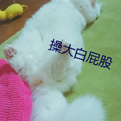 凯时|AG(AsiaGaming)优质运营商