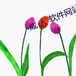成 人 软件网站