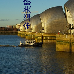 金峰關曉柔大康王朝鐵匠