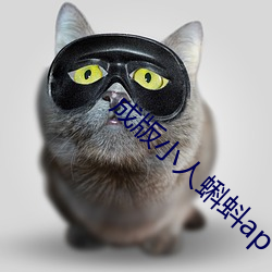 ezweb易利娱乐平台(唯一)官网登录入口