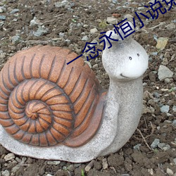 一念永恒(héng)小说免费阅读