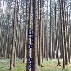 日产(chǎn)A一(y)A区二区