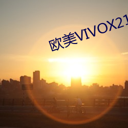 欧美VIVOX21 （不可开交）