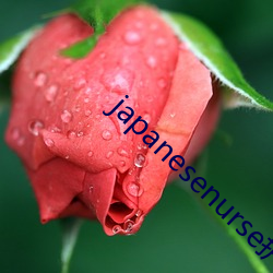 japanesenurseʿ18