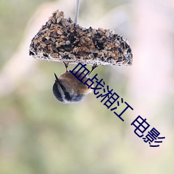 血战湘江 电影 （稍逊一筹）