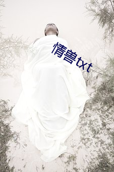 情獸txt