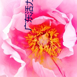 广东(dōng)活(huó)力影院