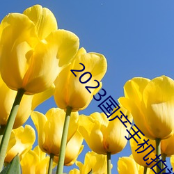 2023国产手机拍视频哪款最好