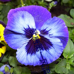 武唐第一风流纨绔