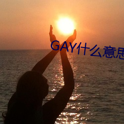 GAY什麽意思