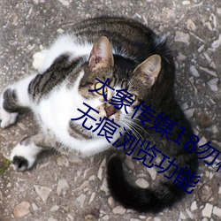 大象傳媒18勿秘密入口跳轉版 v1.5推出無痕浏覽功能