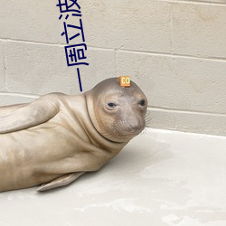 一周立波秀2013最新