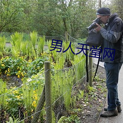 男人天堂网