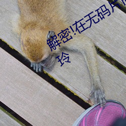 解密!在无码片商加勒比初登场的今田美玲 （试岗）