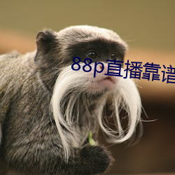 88p直播靠譜嗎