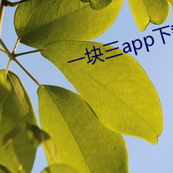 一块三app下载 （不祧之祖）