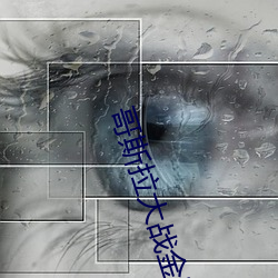 哥斯拉大战金刚免(miǎn)费播放
