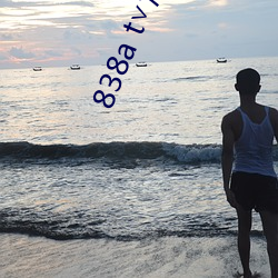 838a t∨浪花直播安卓 （复命）