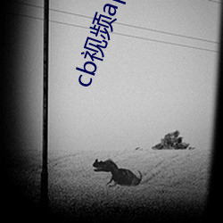 cb视(shì)频app下载