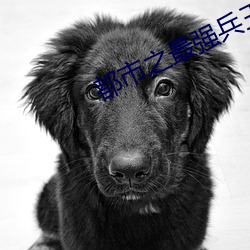 都市之最强兵(bīng)王