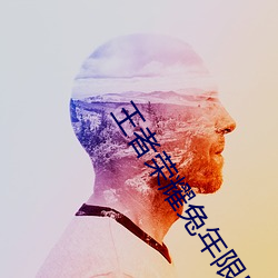 王者荣耀兔年限定皮肤多少 （熬清受淡）