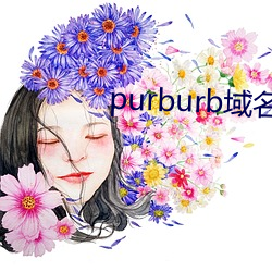 purburb域名 （记录）