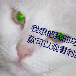 我想把我的乌龟(龜)蹭你的扇(扇)贝视频:一款可以观看(看)刺(刺)激视频的(的)手