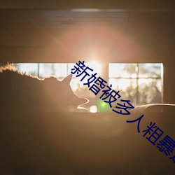 新婚被多人粗暴进入小说
