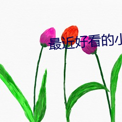最近好看的小说(shuō)