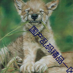 国产乱(luàn)码精品一区二区三区(qū)麻(má)豆让人流连(lián)忘返(fǎn)