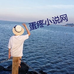 蛋疼小说(說)网