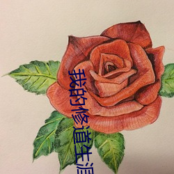 我的修道生涯