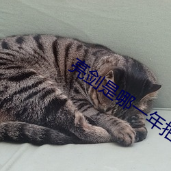 亮剑(劍)是哪一年拍(拍)的
