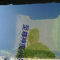 至尊(zūn)神魔小说