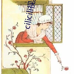 cilicili视(視)频