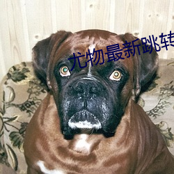 尤物最新跳(tiào)转(zhuǎn)窗口(kǒu)