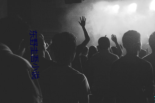 东(東)野圭吾小说(說)