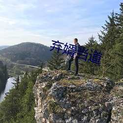 弃婿当道 （身子骨儿）