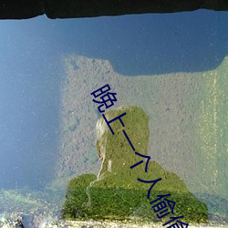 晚上一個人偷偷看了b站軟