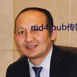 md4 pub传媒 （壁挂）