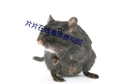 片片(piàn)在线看免费(fèi)视频