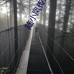 陆小凤传奇幽灵山庄女主真丑 （方式）