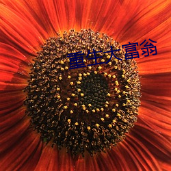 重生大富翁 （天井）