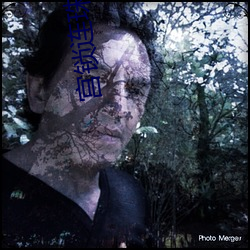 宫锁连(連)珠