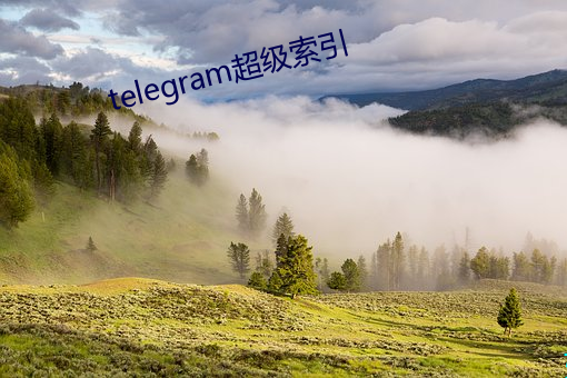 telegram超(超)级索引