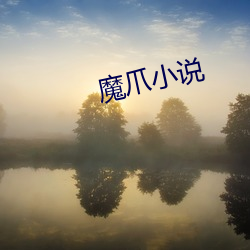 魔爪小说 （提花）