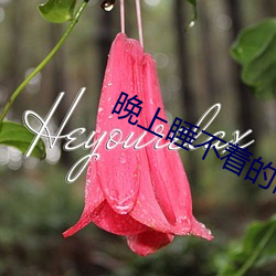 晚上睡不着的网站app